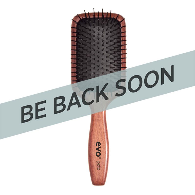 Evo Pete Ionic Paddle Brush