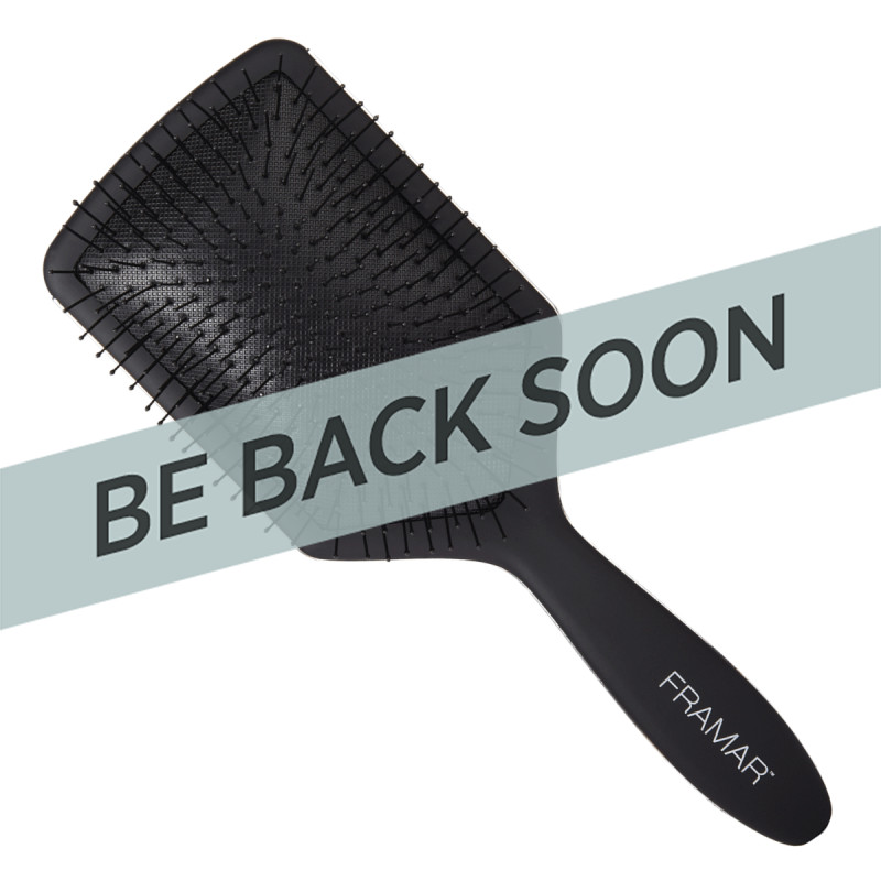 Framar FB-PB-BLK Paddle Brush (Black to the Future)