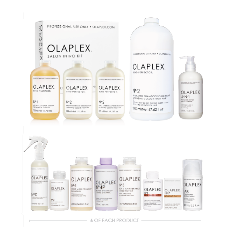 Olaplex Large Salon Intro..